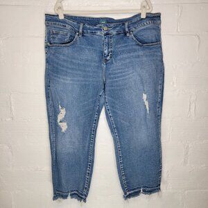 Jag Jeans Women's Size 22W Jeans Carter Girlfriend Distressed Raw Hem